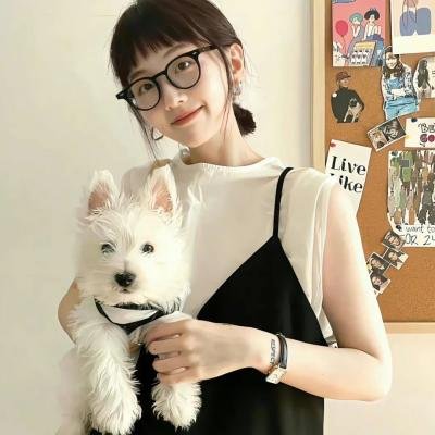 萌犬好声音2